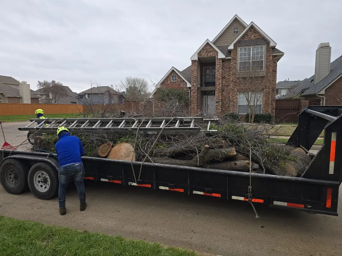 Expert Crown Reduction with proper safety equipment in Hickory Hills